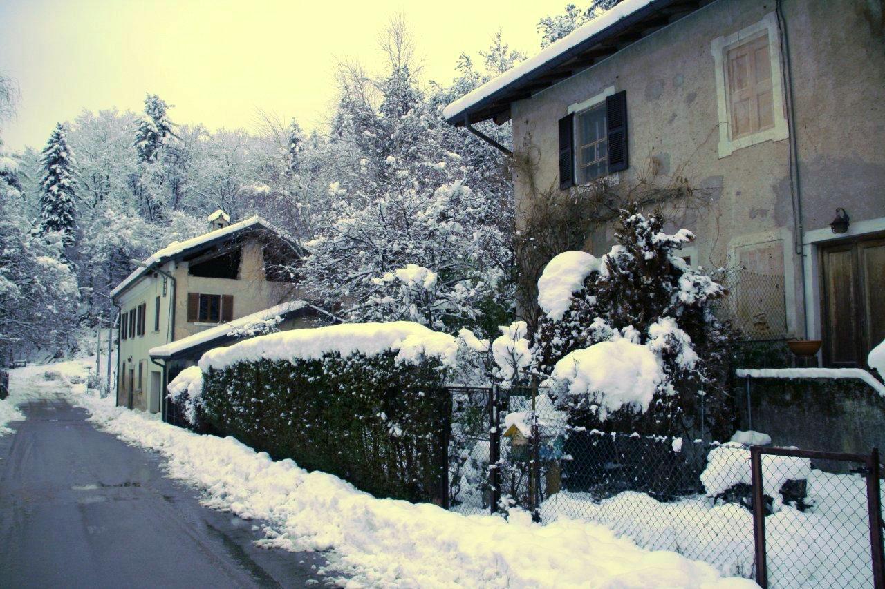 Richiesta di aiuto: foto azzurre